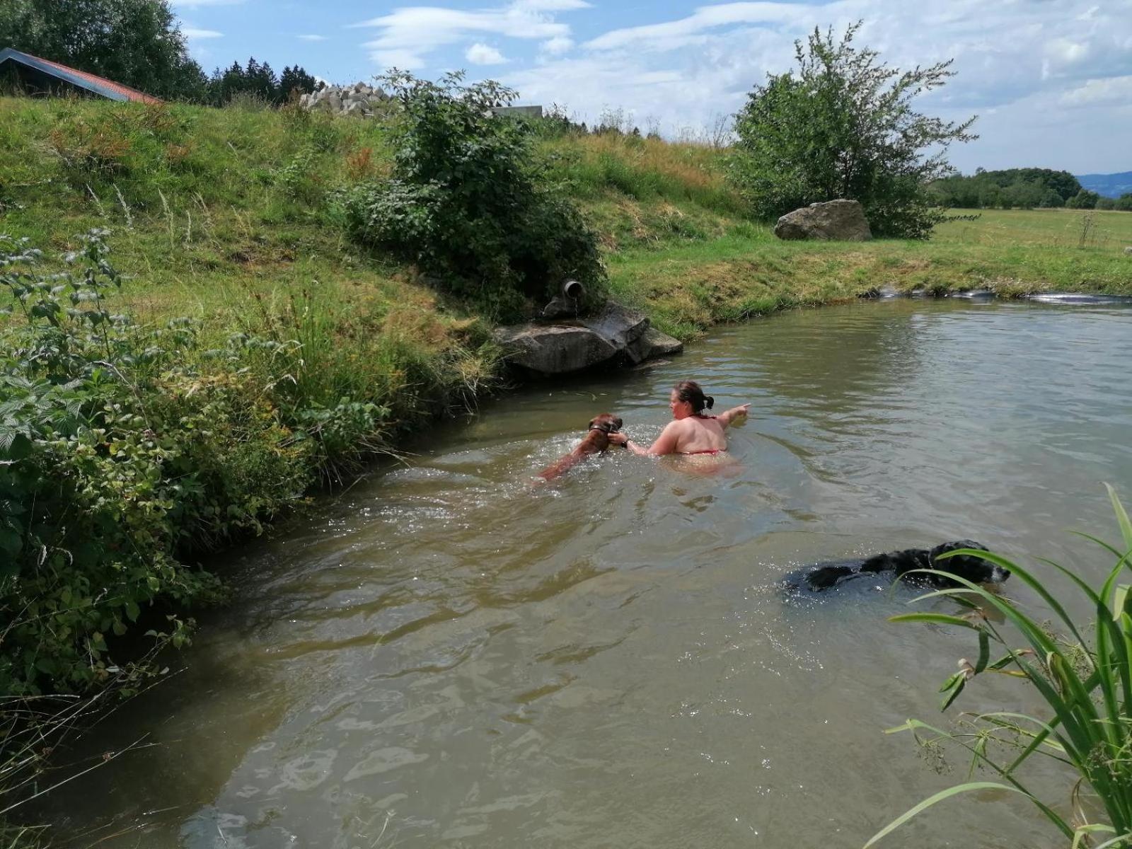 Wild Life Ranch Villa Schofweg Ngoại thất bức ảnh